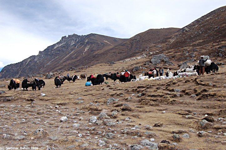 tibetische Händler